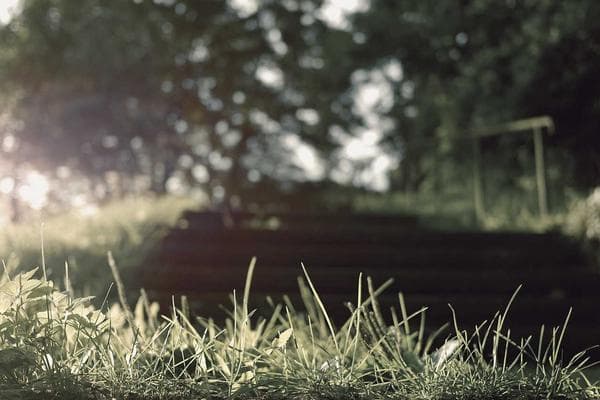 Entrevista: Mãe de Santo resgata saberes em novo acervo biográfico da FEBACAN